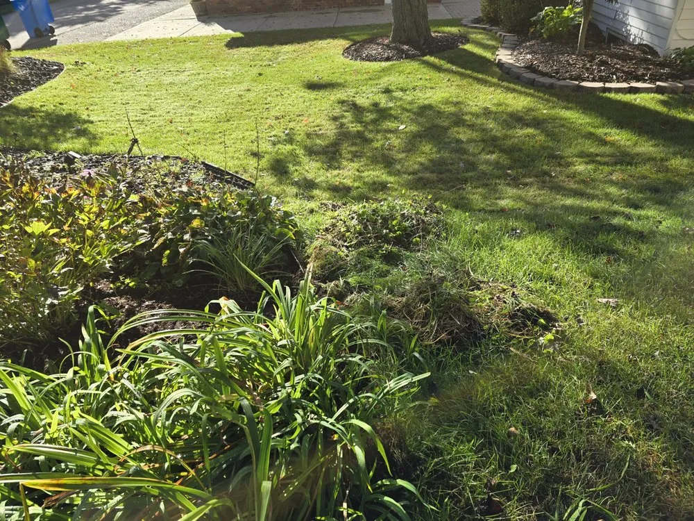 Reliable yard cleanup service for year-round maintenance in Leonard, MI by Nates Landscape And Lawn Care
