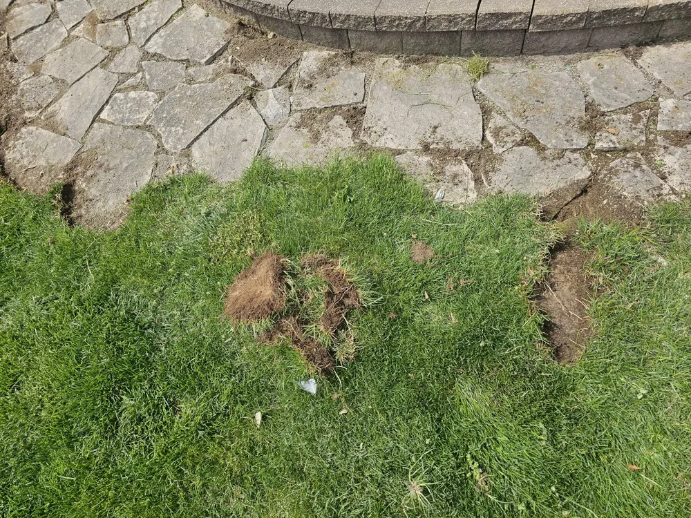 Affordable garden landscaping experts serving Leonard, MI - Nates Landscape And Lawn Care