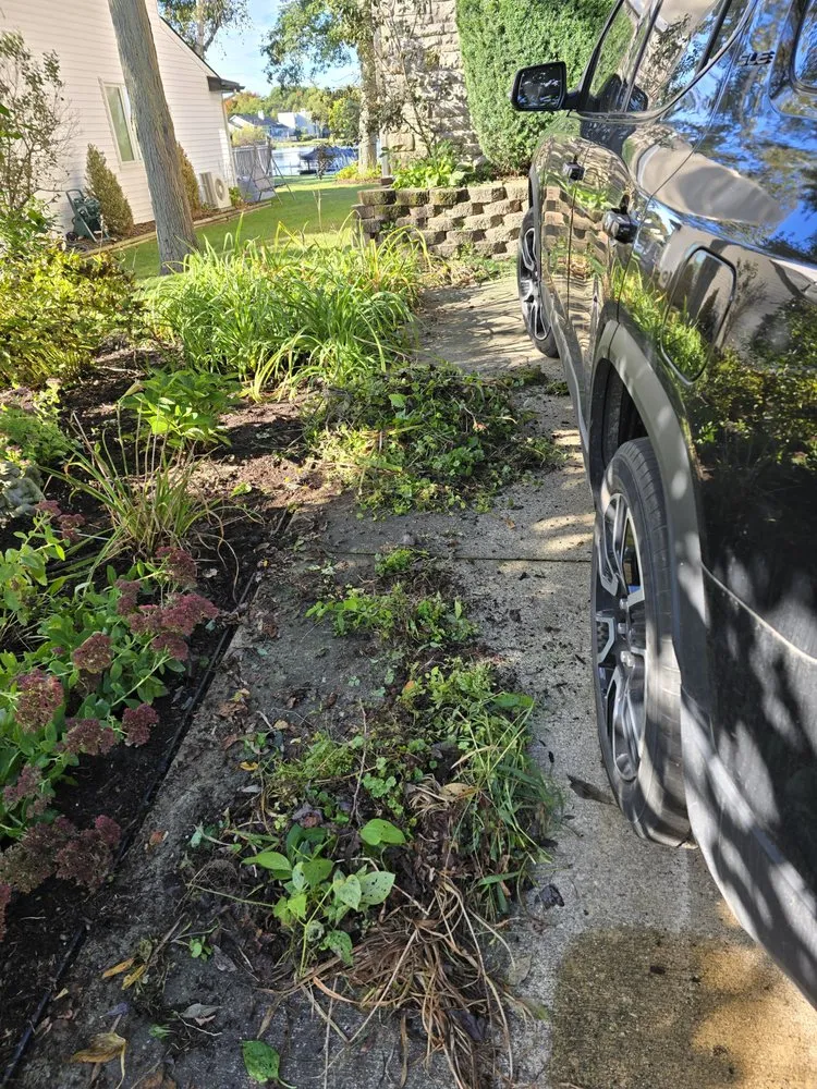 Local lawn care service experts serving Leonard, MI - Nates Landscape And Lawn Care