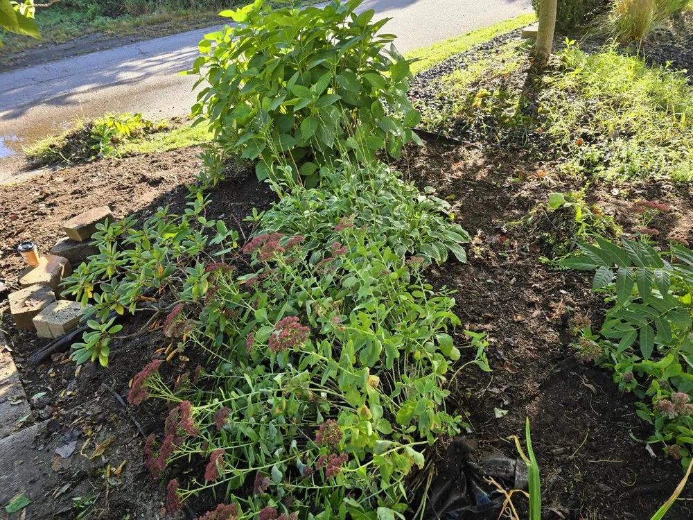 Affordable outdoor landscaping experts serving Leonard, MI - Nates Landscape And Lawn Care