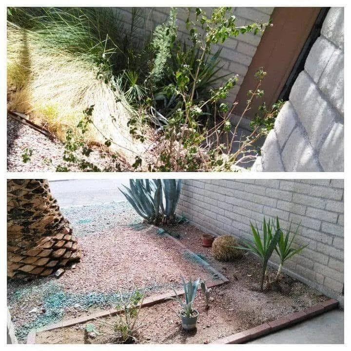 Expert lawn care service experts serving Tucson, AZ - Nates Landscaping & Maintenance