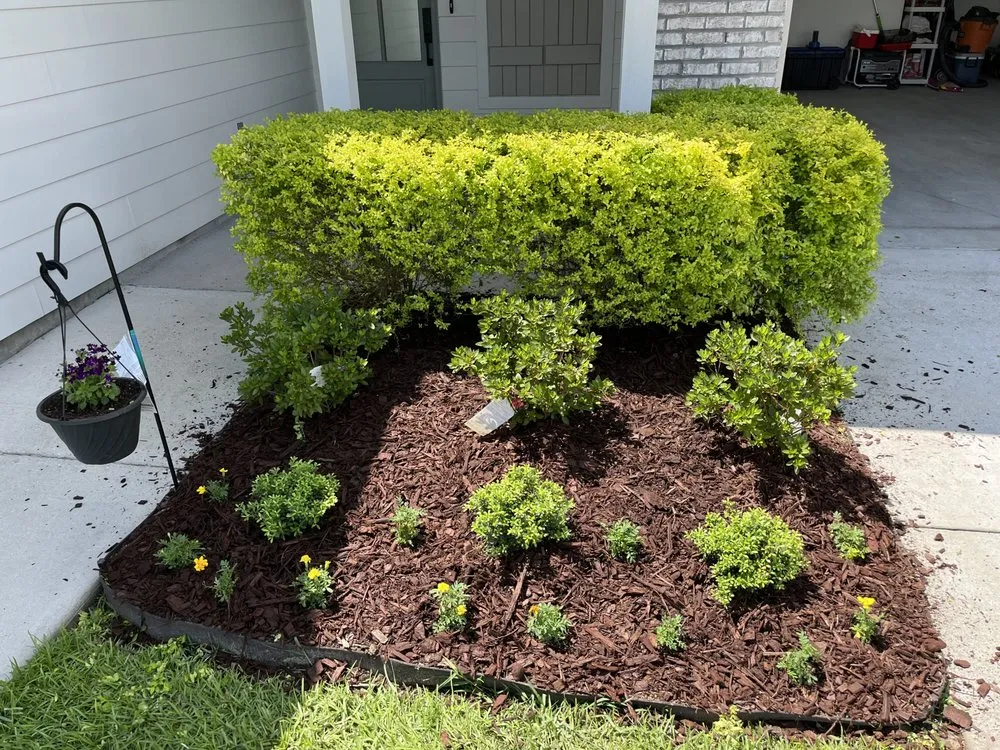 Professional lawn care service experts serving Baton Rouge, LA - Nate’s Landscaping Environment