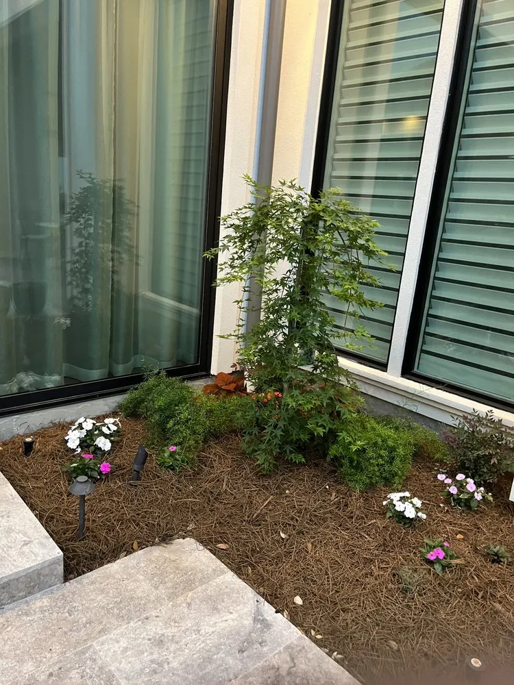 Expert yard maintenance in Baton Rouge, LA - Nate’s Landscaping Environment