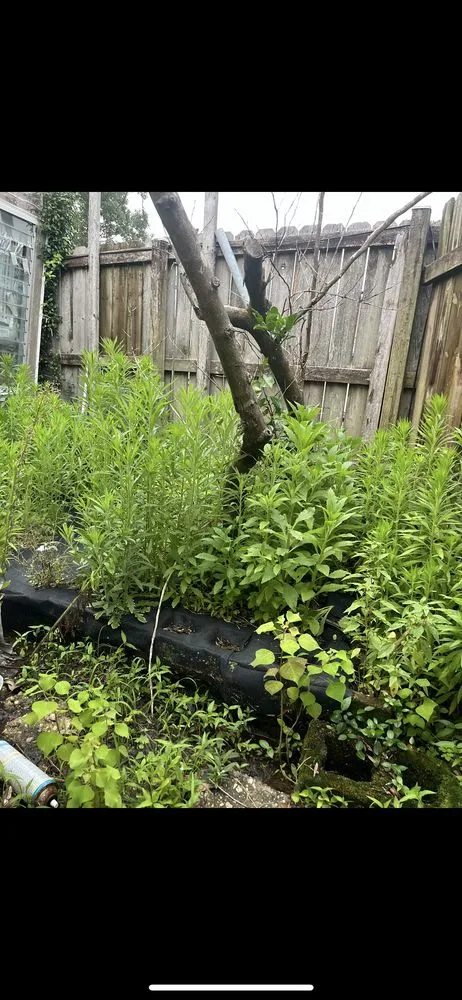 Local residential landscaping in Baton Rouge, LA - Nate’s Landscaping Environment