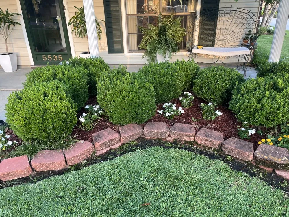 Trusted outdoor landscaping for year-round maintenance across Baton Rouge, LA - Nate’s Landscaping Environment