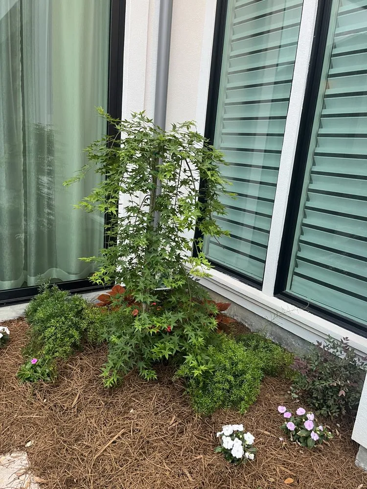 Expert yard cleanup service experts serving Baton Rouge, LA - Nate’s Landscaping Environment