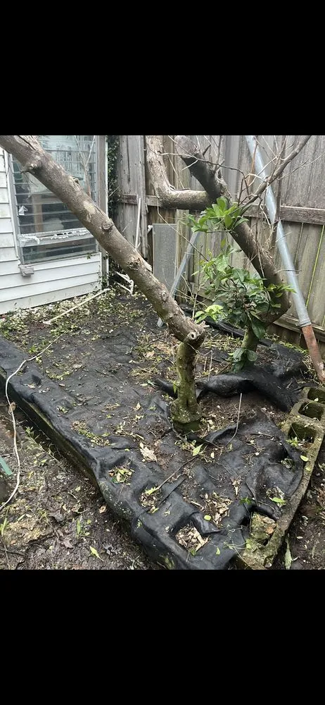 Custom garden landscaping for beautiful yards across Baton Rouge, LA - Nate’s Landscaping Environment