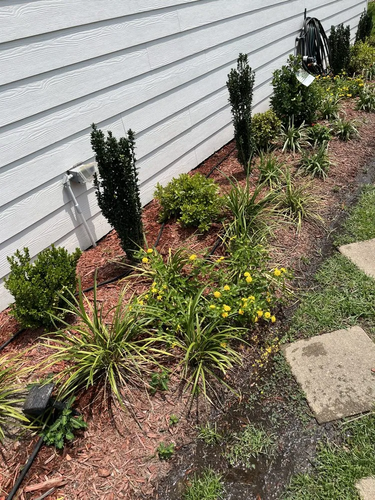 Top-rated yard cleanup service for homes across Baton Rouge, LA - Nate’s Landscaping Environment