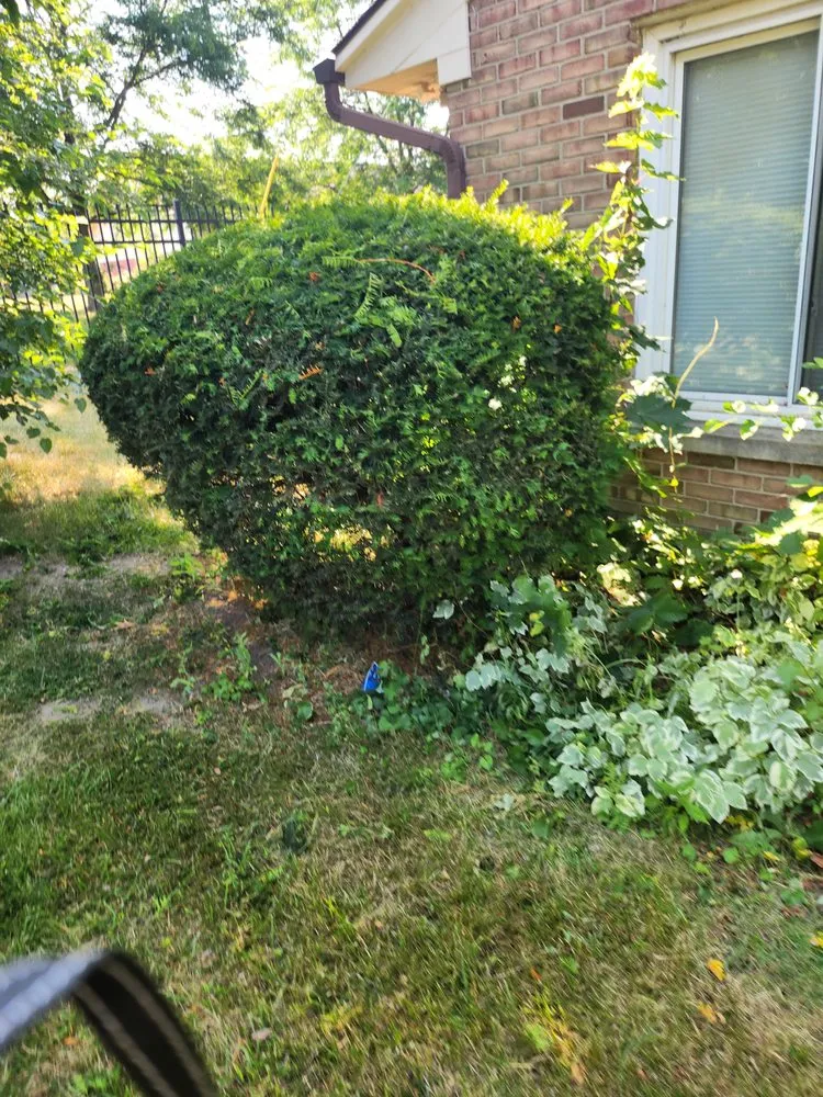 Top-rated outdoor landscaping in Fort Wayne, IN by Nates Landscaping