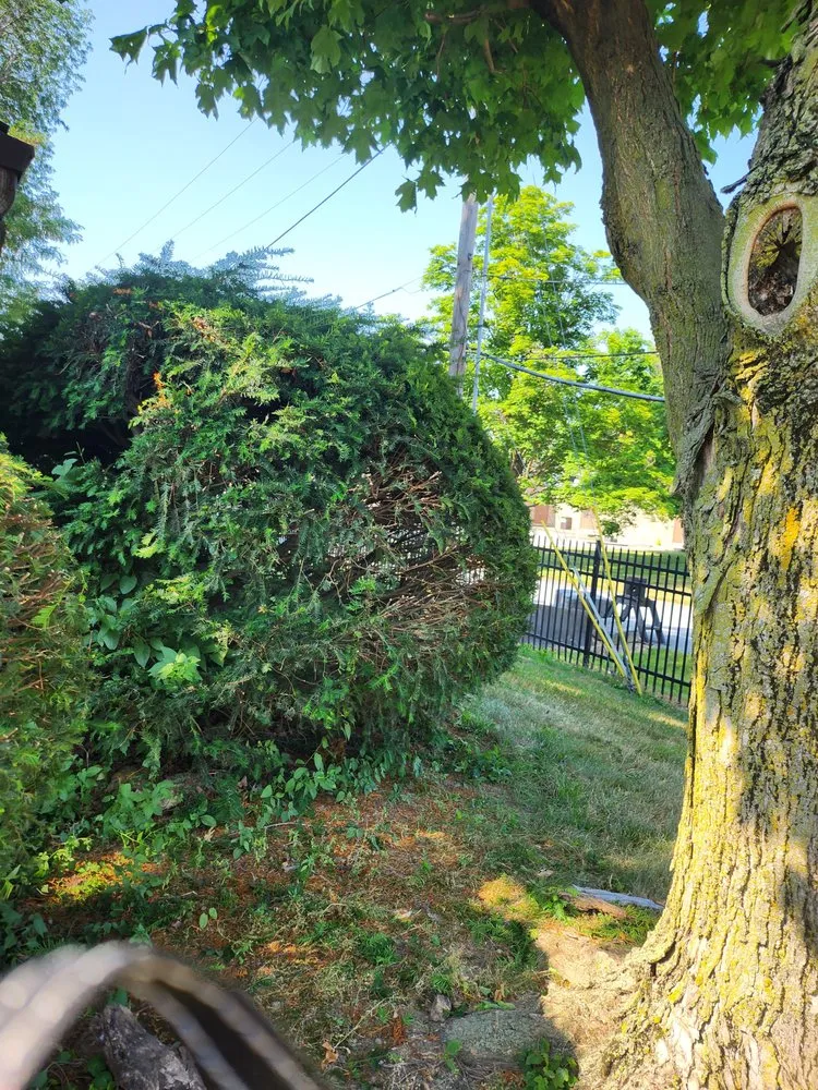 Expert garden landscaping for homes in Fort Wayne, IN by Nates Landscaping