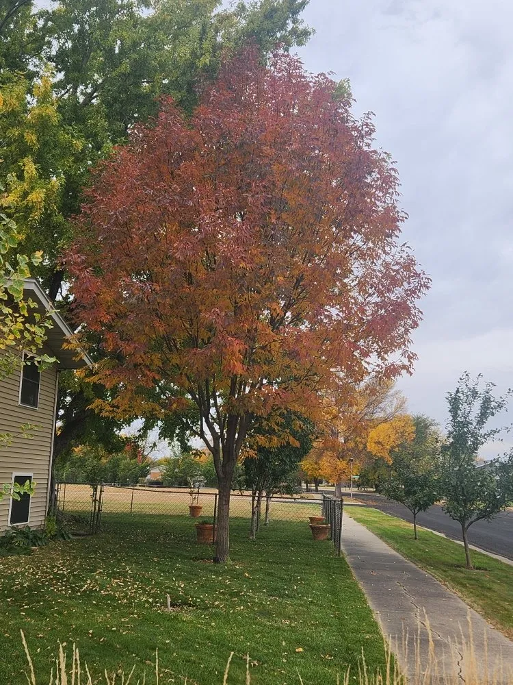 Reliable yard maintenance in Pierre, SD - Nate's Landscaping