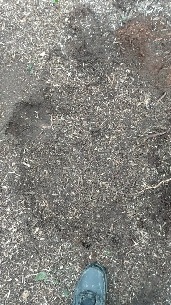 Trusted residential landscaping in Sheboygan, WI by Nate's Landscaping