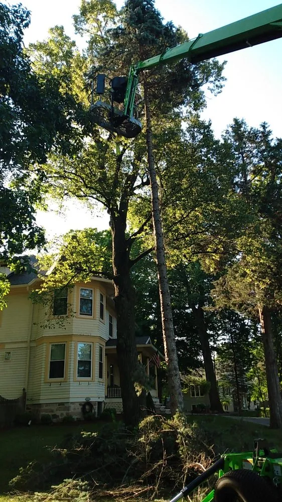 Reliable yard cleanup service experts serving Sheboygan, WI - Nate's Landscaping