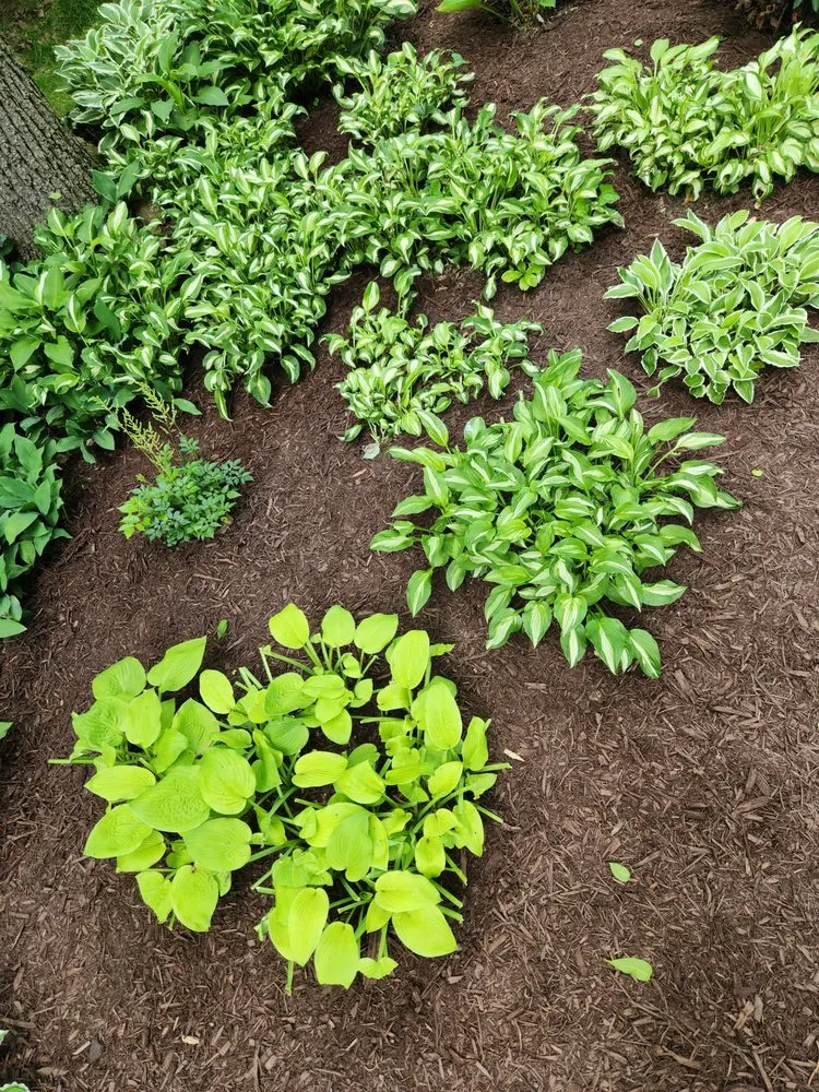 Affordable outdoor landscaping for year-round maintenance in Glen Rock, PA by Nates lawn care services