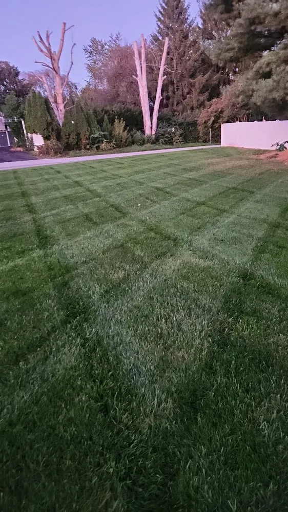 Expert lawn mowing service for year-round maintenance in Glen Rock, PA by Nates lawn care services