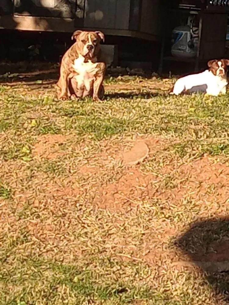 Affordable residential landscaping for residential properties in Purcell, OK by Nate's Lawncare