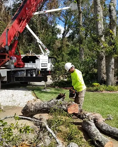 Local landscape design experts serving Clarksville, TN - Nate's Mowing