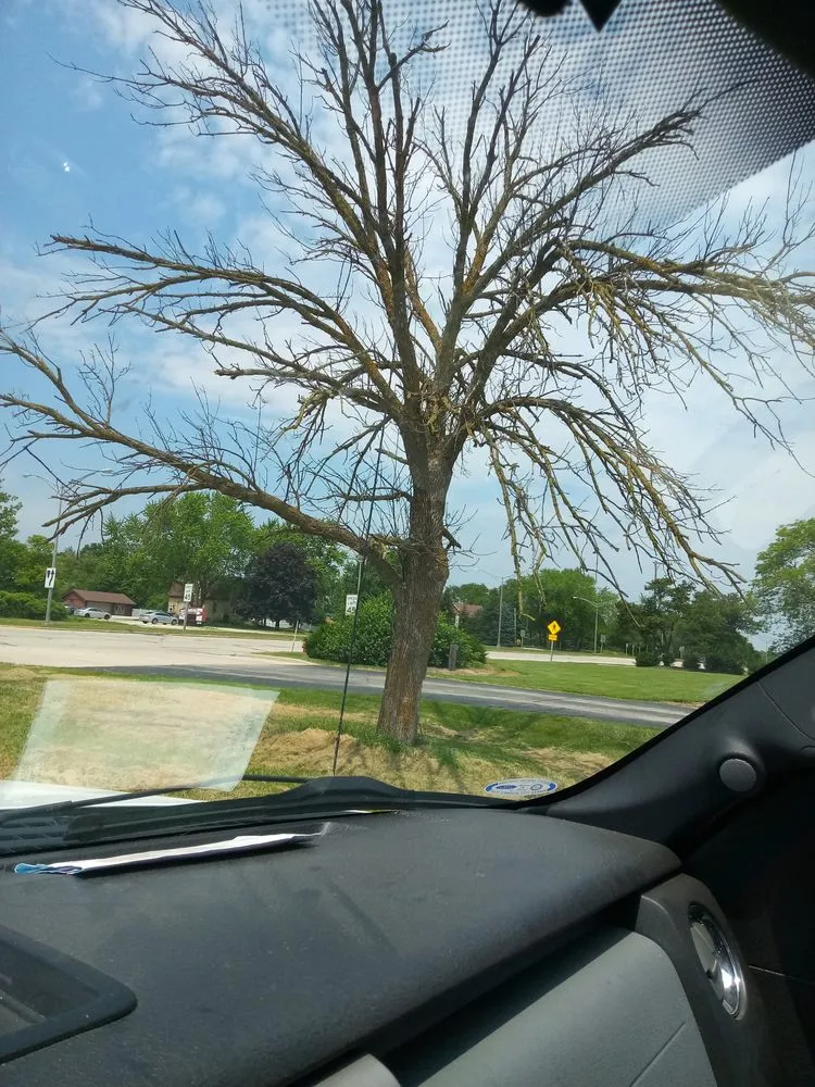 Local landscape design in Racine, WI - Nate's Outdoor Maintenance