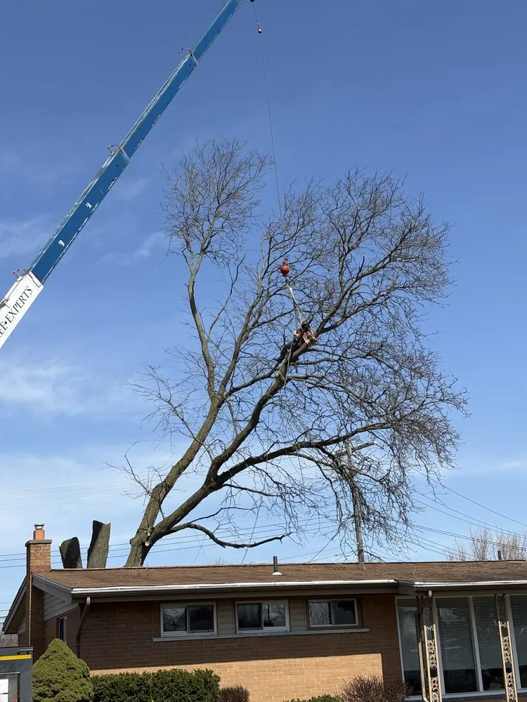 Trusted outdoor landscaping for outdoor upgrades in Livonia, MI by Nate's Outdoor Services