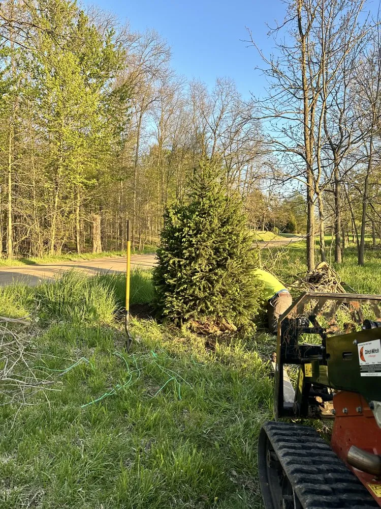 Top-rated yard cleanup service in Livonia, MI - Nate's Outdoor Services