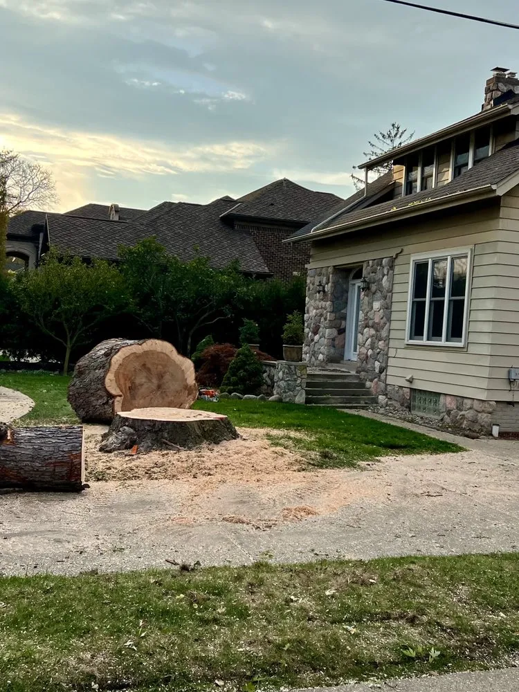 Professional lawn mowing service with custom design in Livonia, MI by Nate's Outdoor Services