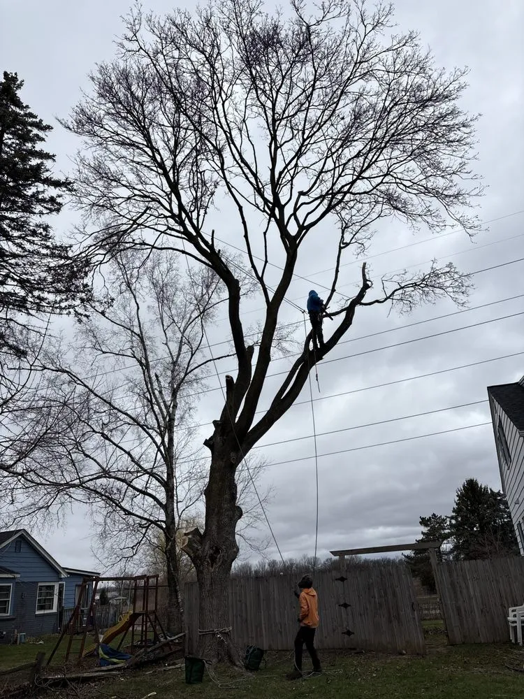 Local outdoor landscaping near you in Livonia, MI by Nate's Outdoor Services