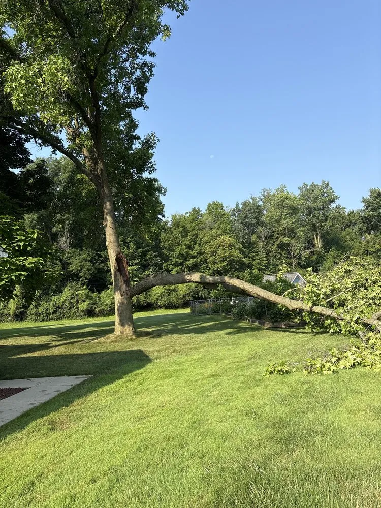 Expert landscape design near you in Livonia, MI by Nate's Outdoor Services