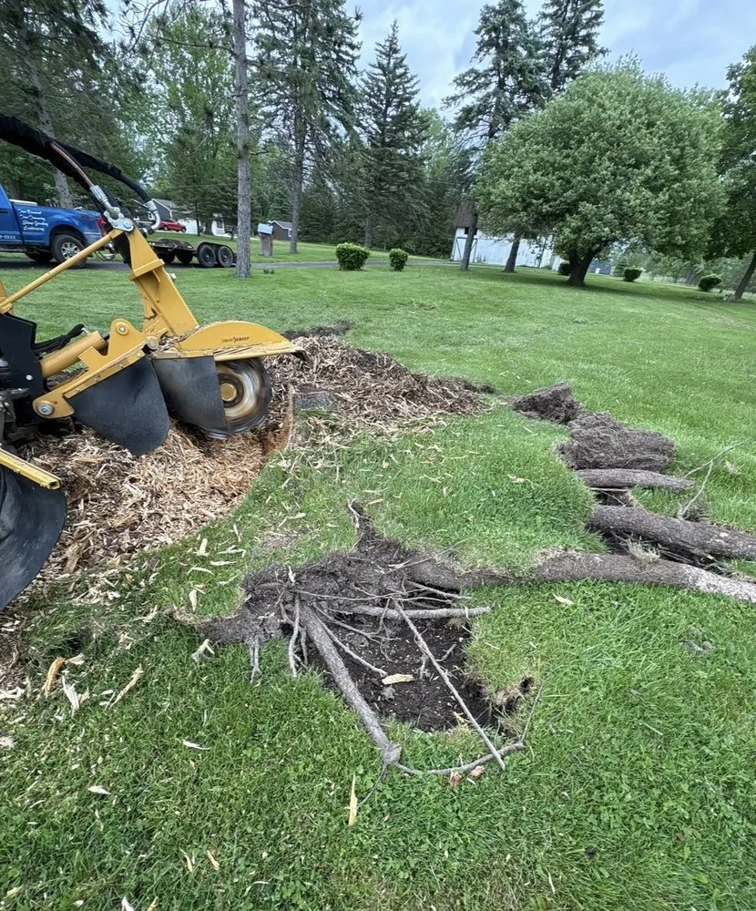 Custom outdoor landscaping for homes across Livonia, MI - Nate's Outdoor Services