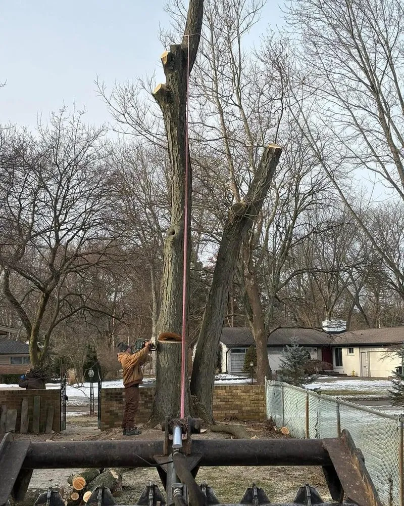 Affordable residential landscaping in Livonia, MI - Nate's Outdoor Services