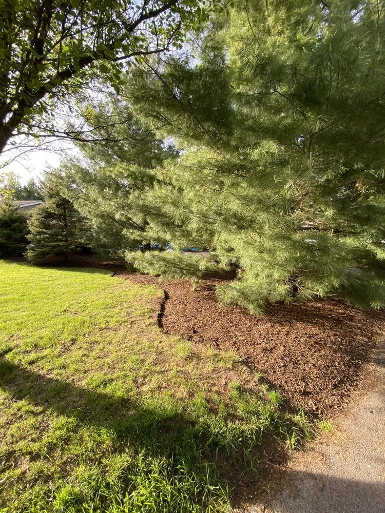 Local yard maintenance in Algonquin, IL by Nate’s Quality Lawn Care Services