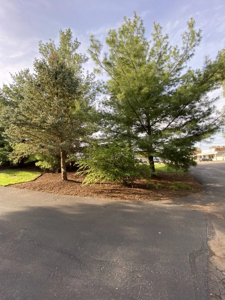 Expert yard cleanup service in Algonquin, IL by Nate’s Quality Lawn Care Services