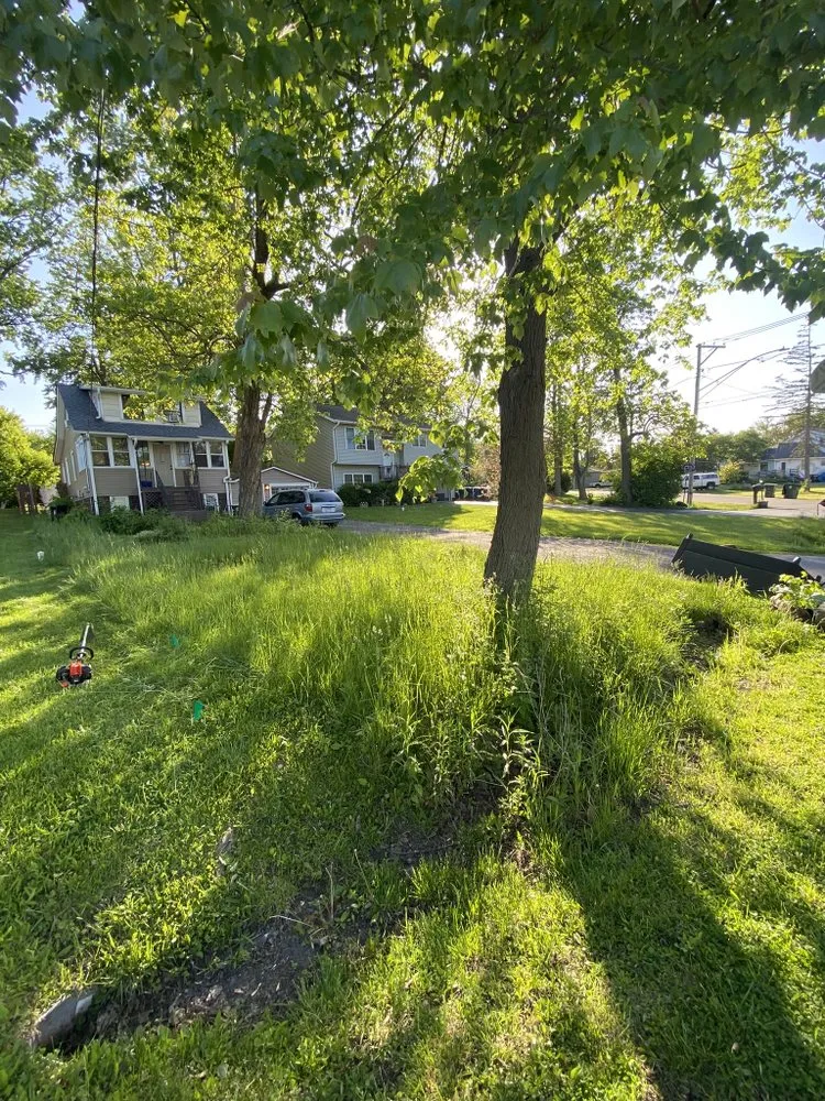 Expert landscape design near you across Algonquin, IL - Nate’s Quality Lawn Care Services