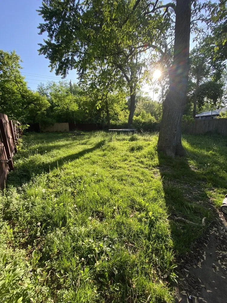 Top-rated outdoor landscaping for residential properties in Algonquin, IL by Nate’s Quality Lawn Care Services