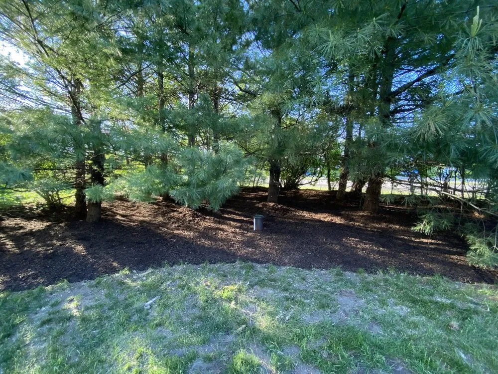 Top-rated landscape installation for beautiful yards across Algonquin, IL - Nate’s Quality Lawn Care Services