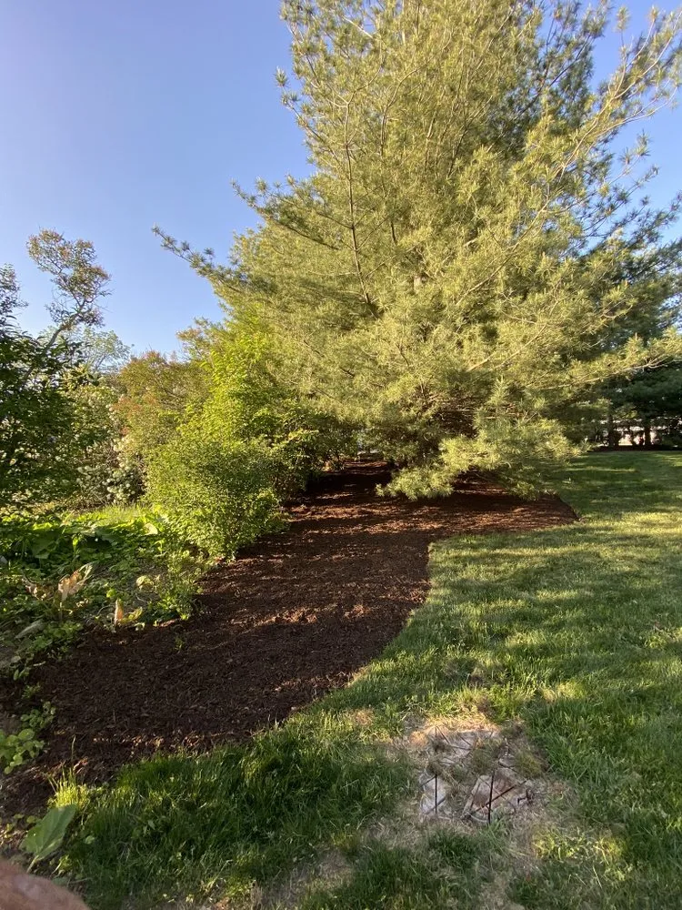 Expert lawn mowing service in Algonquin, IL by Nate’s Quality Lawn Care Services