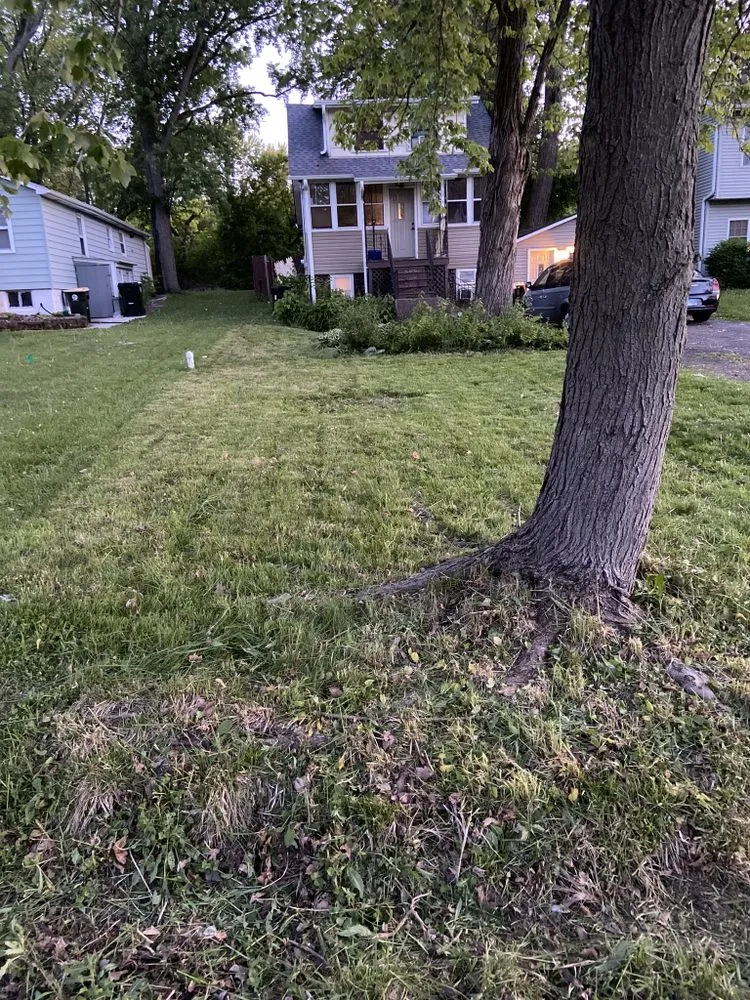 Professional landscape installation with custom design in Algonquin, IL by Nate’s Quality Lawn Care Services