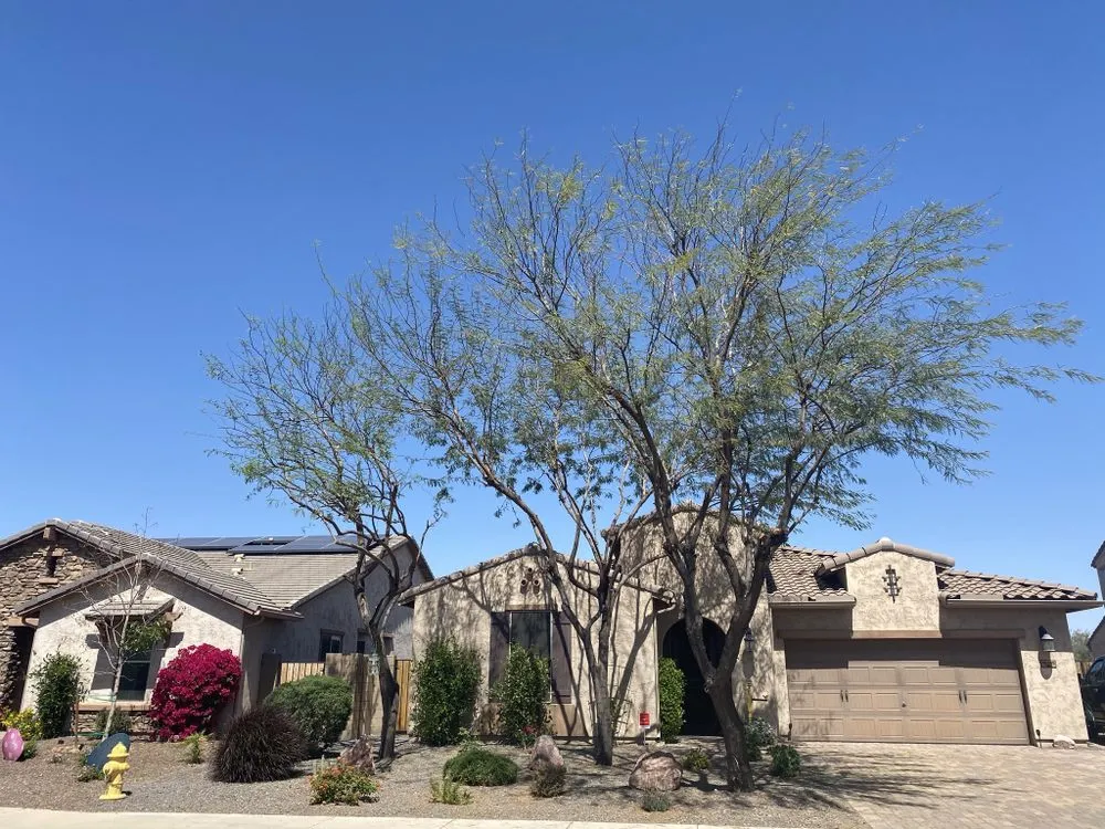 Top-rated lawn mowing service in Buckeye, AZ by Nate's Quality Services