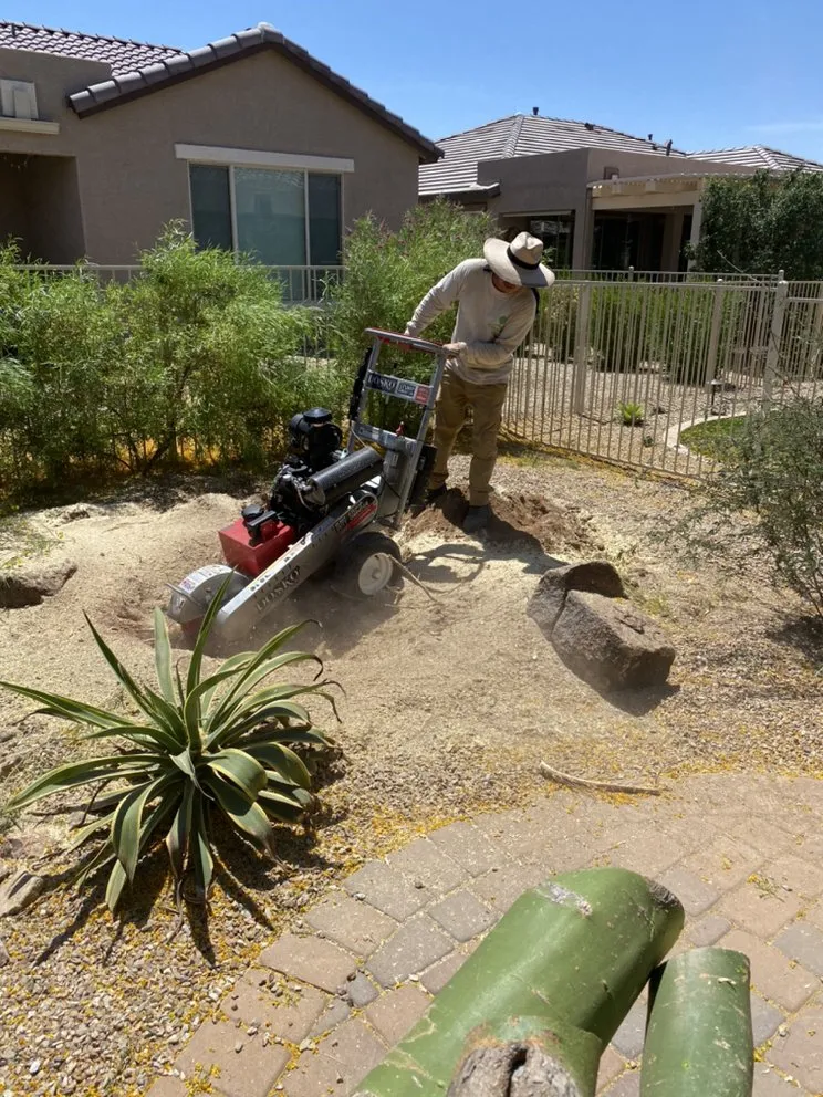 Professional landscaping services for outdoor upgrades across Buckeye, AZ - Nate's Quality Services