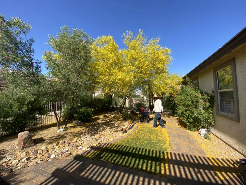 Expert landscaping services with custom design across Buckeye, AZ - Nate's Quality Services