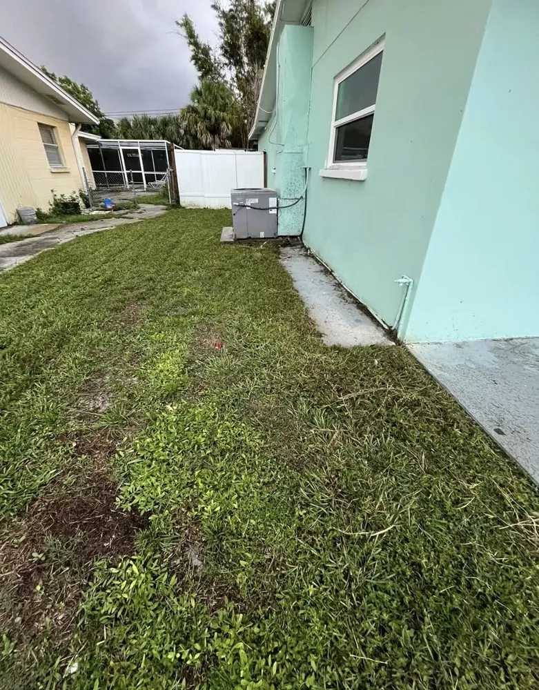 Reliable garden landscaping in Sarasota, FL by Nate’s