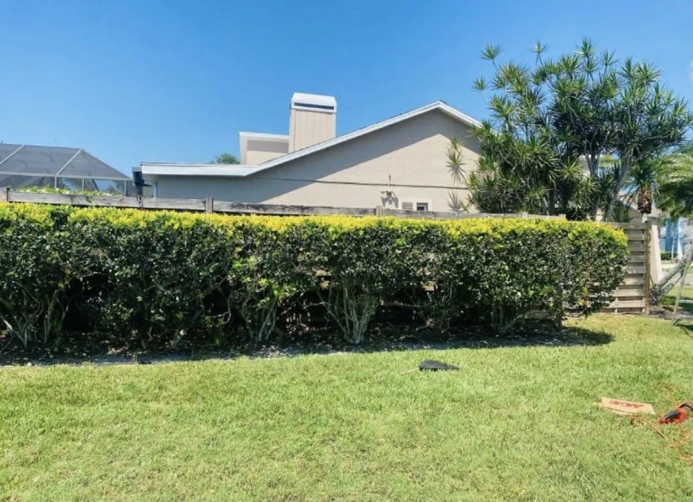 Custom garden landscaping in Sarasota, FL - Nate’s