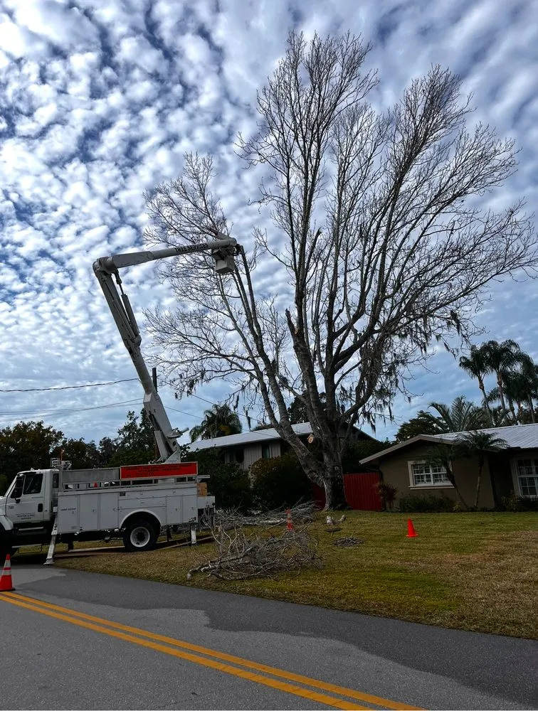 Local residential landscaping experts serving Edwardsburg, MI - Nate’s Tree Service