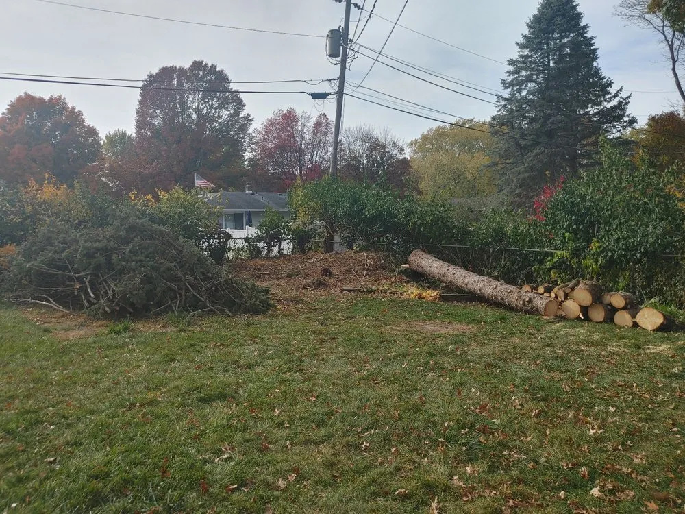 Custom landscape design near you across Edwardsburg, MI - Nate’s Tree Service