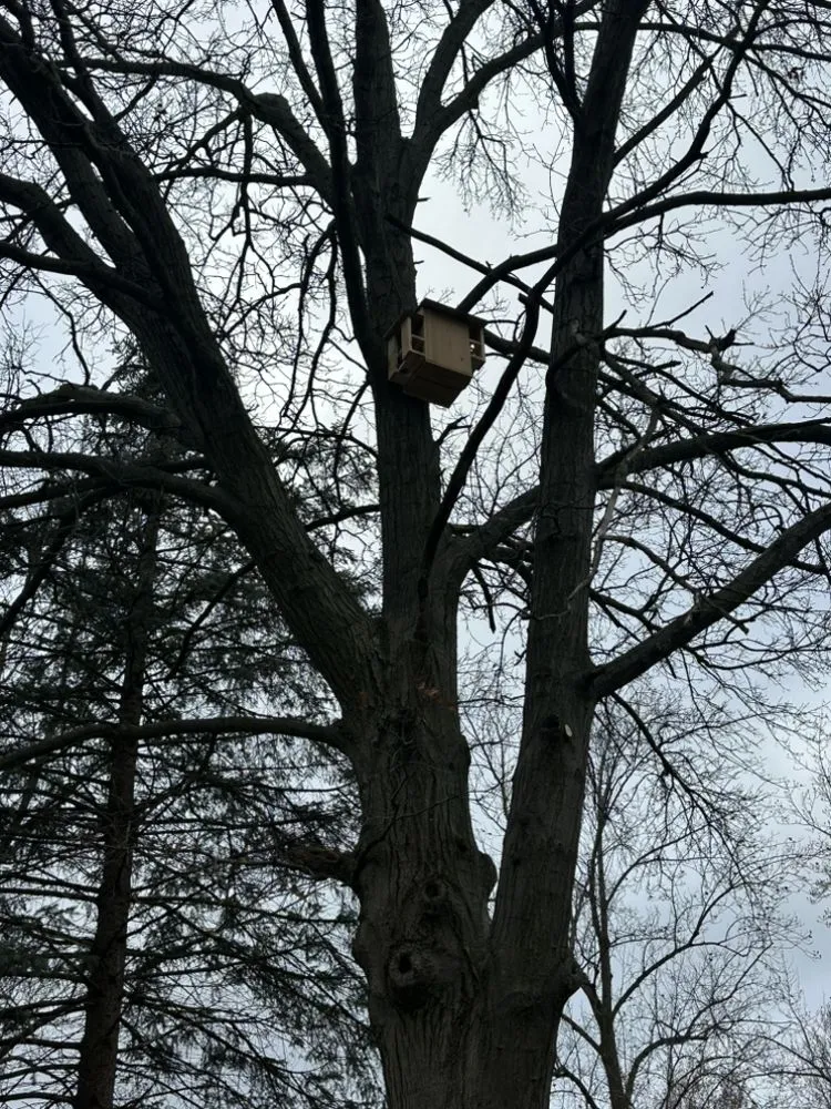 Reliable lawn care service for beautiful yards in Edwardsburg, MI by Nate’s Tree Service