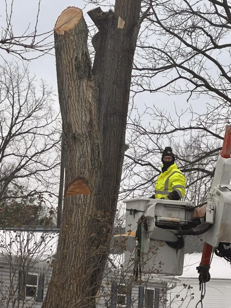 Local yard cleanup service for beautiful yards in Edwardsburg, MI by Nate’s Tree Service