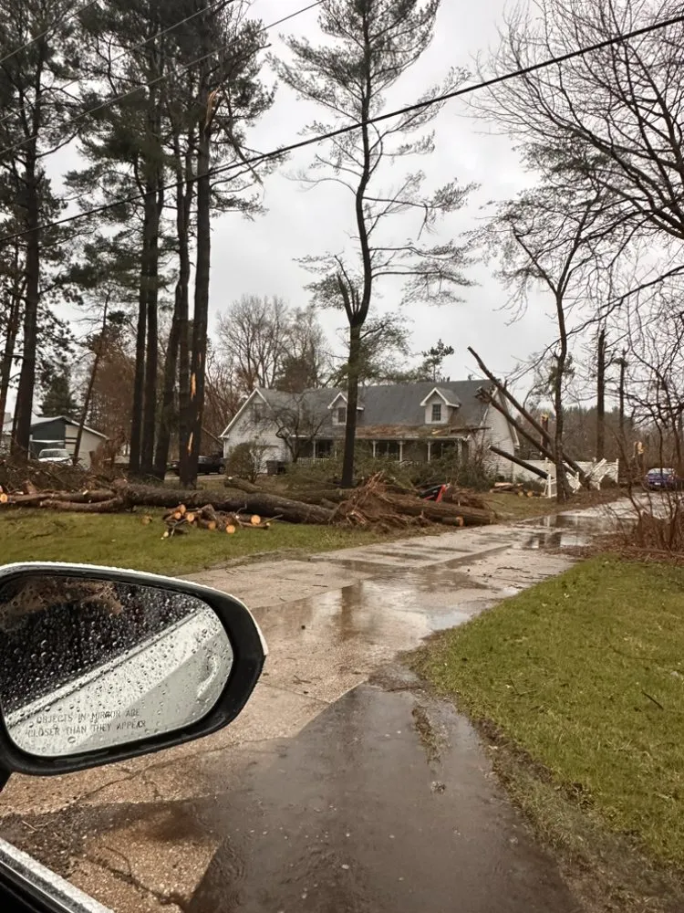 Affordable lawn care service in Edwardsburg, MI by Nate’s Tree Service