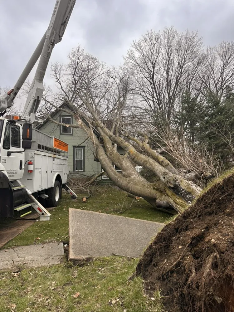 Local residential landscaping for beautiful yards in Edwardsburg, MI by Nate’s Tree Service