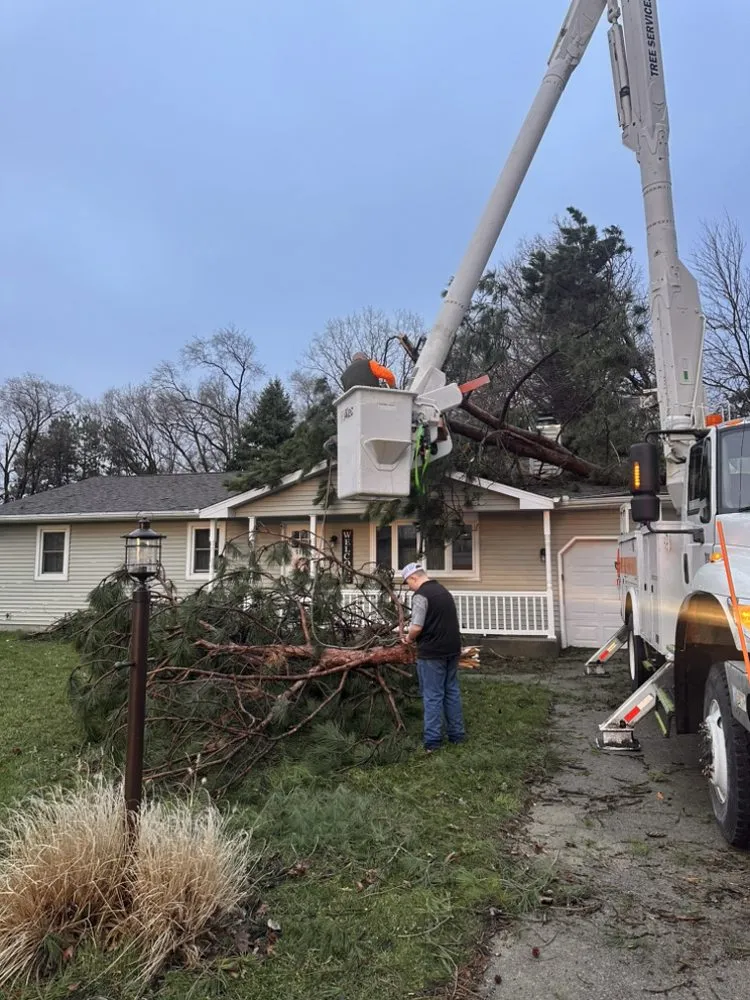 Trusted landscape installation in Edwardsburg, MI - Nate’s Tree Service