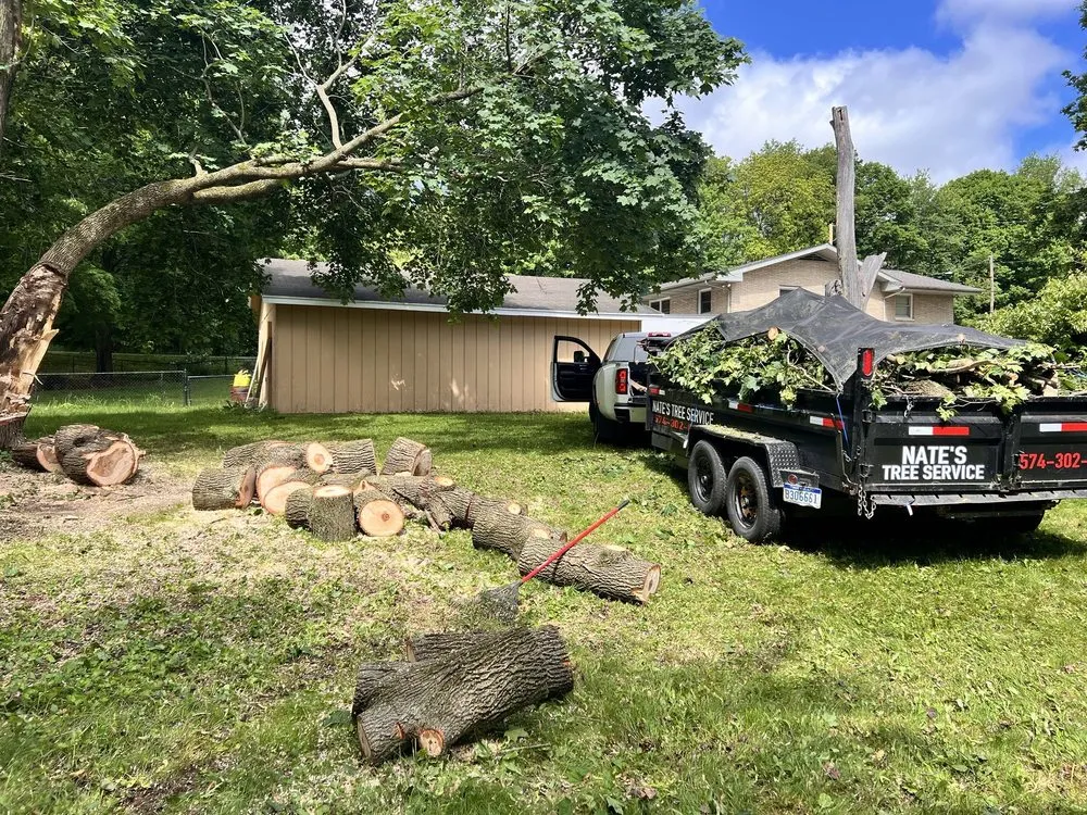 Expert yard maintenance in Edwardsburg, MI by Nate’s Tree Service