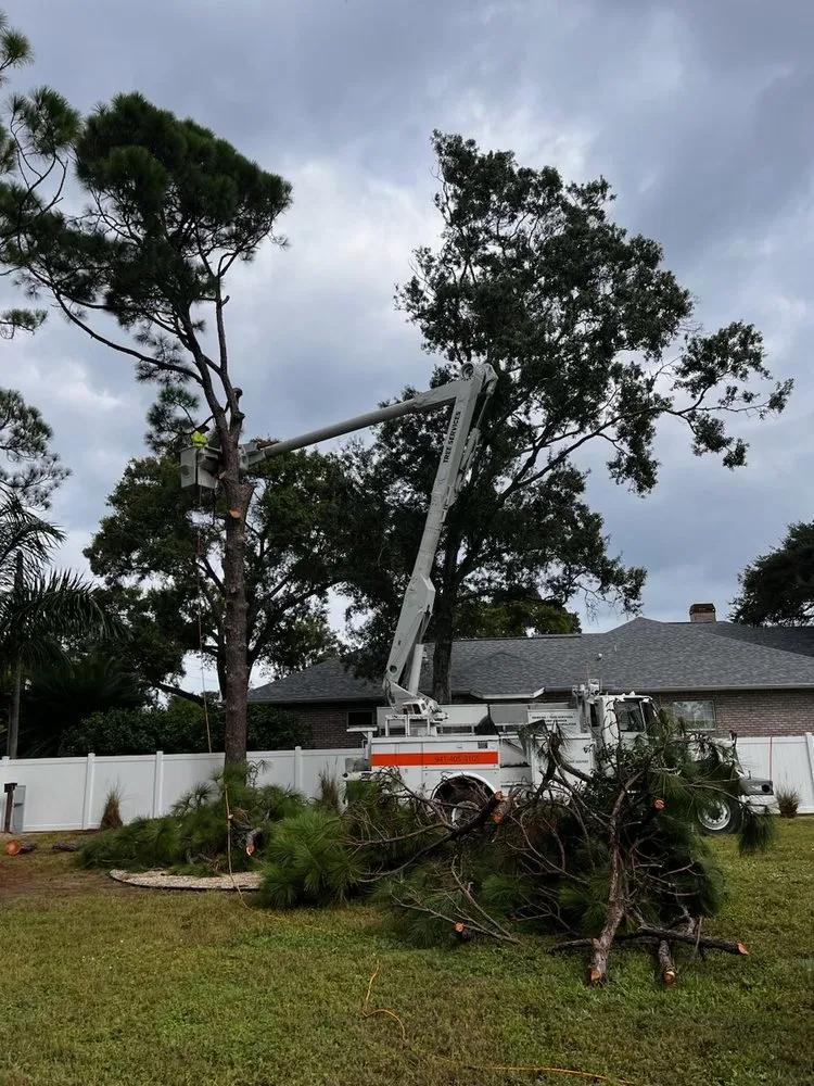 Trusted landscaping services in Edwardsburg, MI by Nate’s Tree Service